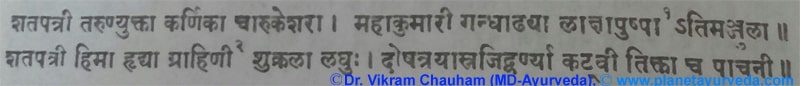 Ancient Verse about Rose Ancient Verse about Rose