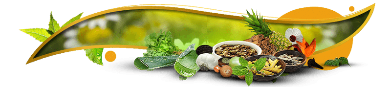 Role of Ayurveda in Handling Viral Infections Role of Ayurveda in Handling Viral Infections
