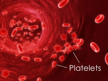 Blood Platelet Blood Platelet images