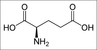 Glutamic acid Glutamic acid