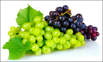 Grapes (Vitis Vinifera) Angoor, Grapes images, Vitis Vinifera