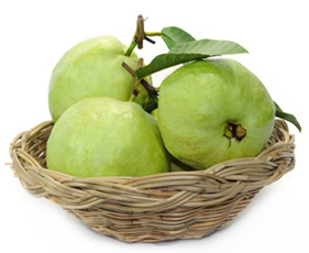 Amrud / Guava (Psidium Guajava) Amrud, Guava, Psidium Guajava