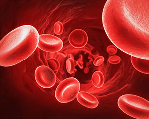 Hemoglobin Hemoglobin