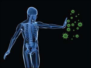 Healthy Immune System healthy immune system