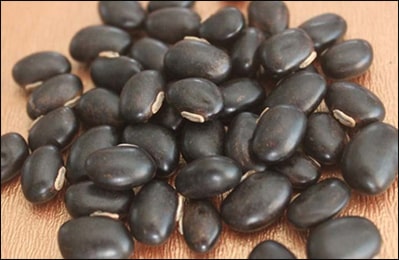 Mucuna Pruriens (Kaunch Beej) Mucuna Pruriens, Kaunch Beej