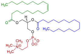 Lecithin Lecithin