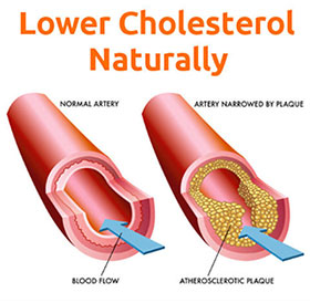 Lower Cholesterol Lower Cholesterol