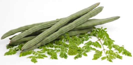 Shigru (Moringa oleifera) Shigru, Moringa oleifera Leaves