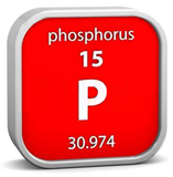 Phosphorous Phosphorous
