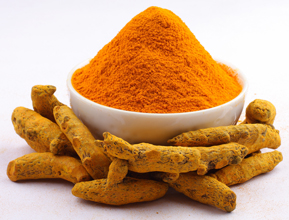 Turmeric (Curcuma longa) Turmeric, Curcuma longa