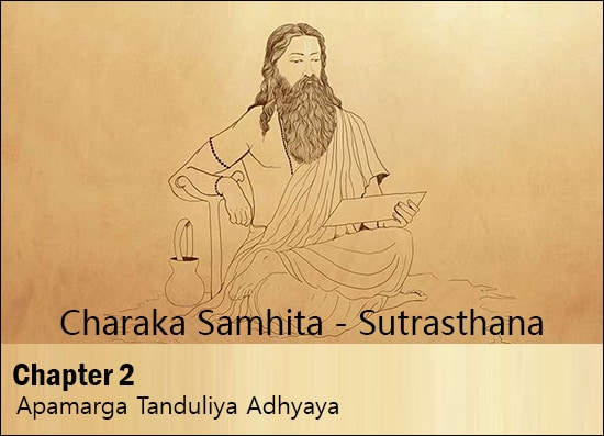 Charaka Samhita, Chapter 2, Second Chapter, Sutrasthana, Apamarga Tanduliya Adhyaya, Herbs For Vaman, Herbs For Virechana, Herbs For Nasya, Importance Of Snehana, Importance Of Swedana, Gruel Of Panch Kola, Panchkola Yuvagu, Uses Of Various Kinds Of Yuvagu, Qualities Of A Good Physician