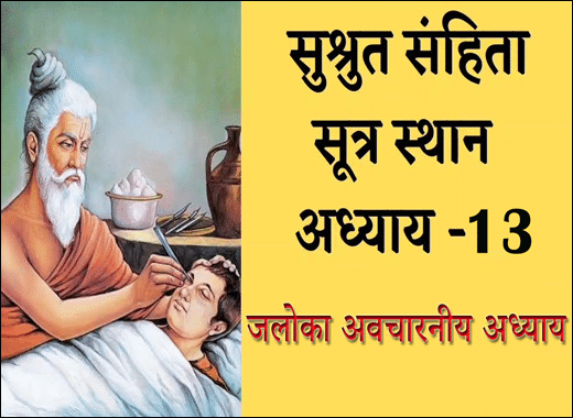 Jaloka Avcharaniya Adhyaya, Jaloka Avcharaniya, Types Of Jaloka, 13th Chapter of Sushruta Samhita, Sushruta Samhita, Ayurvedic Book, Sushruta Samhita Sutrasthana, Maharshi Sushruta, Classical Book, Classical Ayurvedic Medicines, The Classification Of Curable-Incurable Lesions